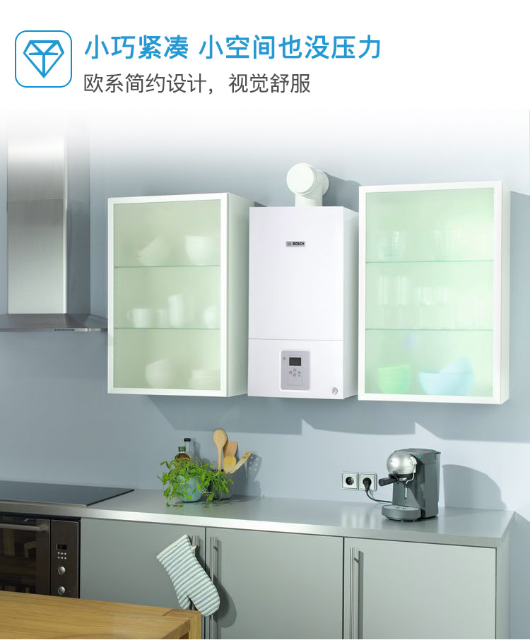 博世（BOSCH）壁挂炉 进口新欧洲之星 两用炉 家用（采暖+生活热水） L1P27-WBN6000-24KW